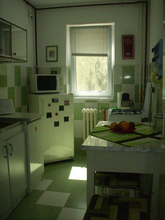 Black Sea Coast Apartment 康斯坦察 客房 照片